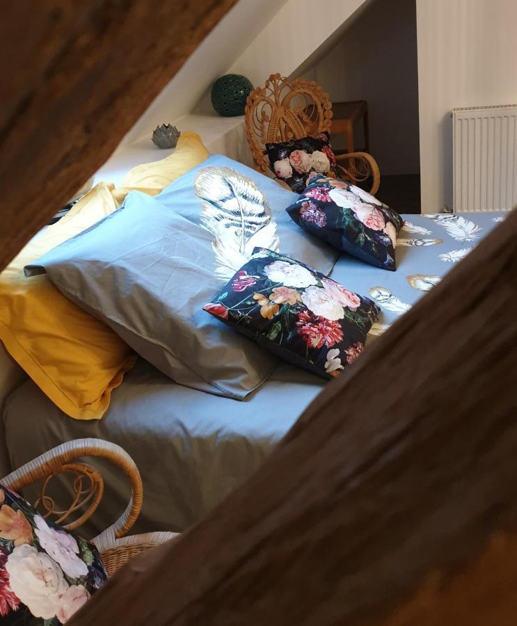 Maison Belenos Nevy-Sur-Seille Bagian luar foto